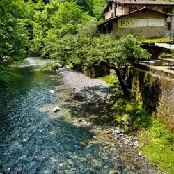Parco delle Gole della Breggia - Giubiasco