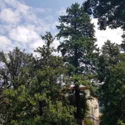 Villa dei Cedri - Giubiasco