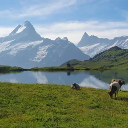 Bachalpsee Lake - Grindelwald