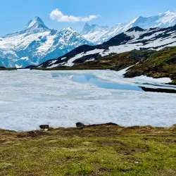 Bachalpsee Lake - Grindelwald