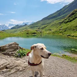 Bachalpsee Lake - Grindelwald