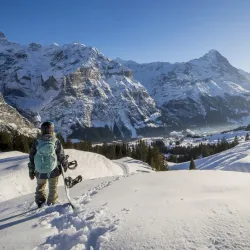 Eiger Mountain - Grindelwald