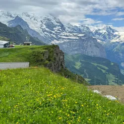 Männlichen Mountain - Grindelwald
