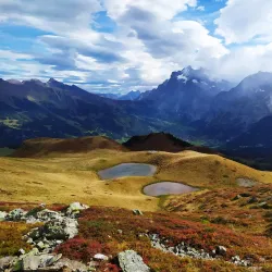 Männlichen Mountain - Grindelwald