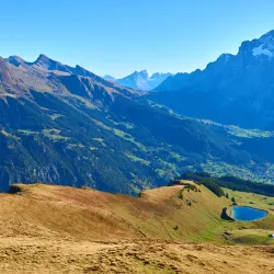 Männlichen Mountain - Grindelwald