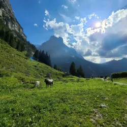 Pfingstegg Chairlift - Grindelwald