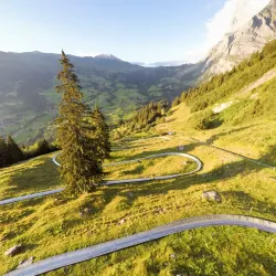 Pfingstegg Toboggan Run - Grindelwald