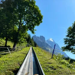 Pfingstegg Toboggan Run - Grindelwald