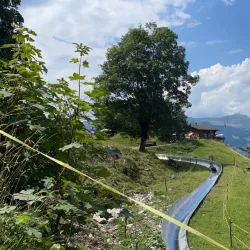 Pfingstegg Toboggan Run - Grindelwald