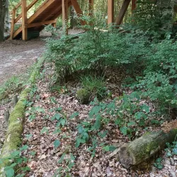 Cycling Routes Around Gränichen - Gränichen