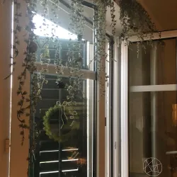 Local Artisan Workshops - Gränichen