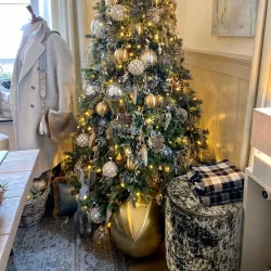 Local Artisan Workshops - Gränichen