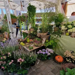 Local Farmers' Markets - Gränichen