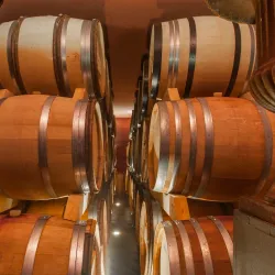 Local Vineyards and Wine Tasting - Gränichen