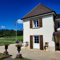 Local Vineyards and Wine Tasting - Gränichen