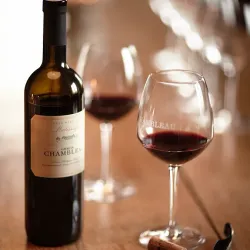 Local Vineyards and Wine Tasting - Gränichen