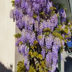 Museum Aargau - Regional Exhibits - Gränichen