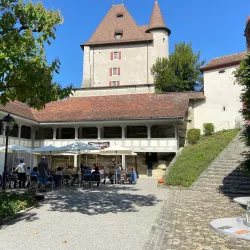 Ruins of Liebegg Castle - Gränichen