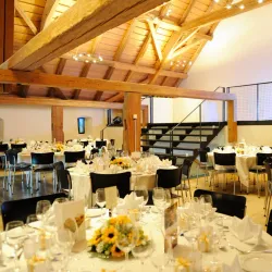 Ruins of Liebegg Castle - Gränichen