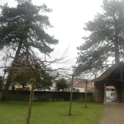 St. Martin's Church - Gränichen