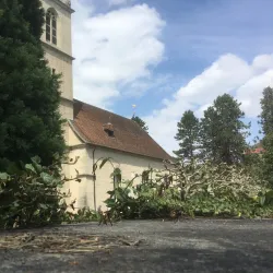 St. Martin's Church - Gränichen