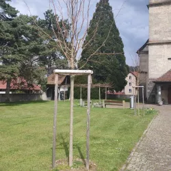 St. Martin's Church - Gränichen