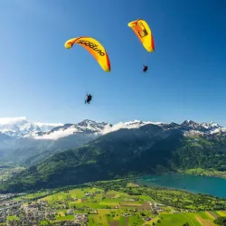 Paragliding in Interlaken - Interlaken