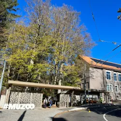 Bois du Petit-Château - La Chaux-de-Fonds