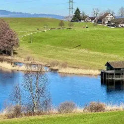 Hüttnersee - Lachen