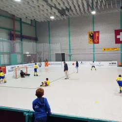 Centre Sportif de la Queue d'Arve - Lancy