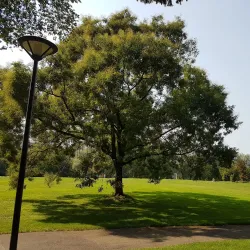 Parc Bertrand - Lancy