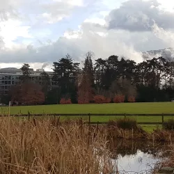 Parc Bertrand - Lancy