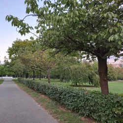 Parc des Franchises - Lancy