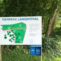 Langenthal Park - Langenthal