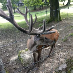 Langenthal Park - Langenthal