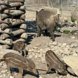 Langenthal Park - Langenthal