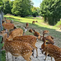 Langenthal Park - Langenthal