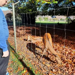 Langenthal Park - Langenthal