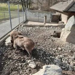 Langenthal Park - Langenthal