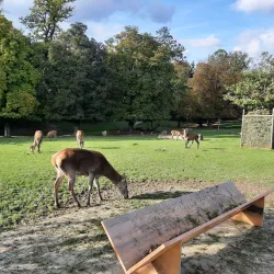 Langenthal Park - Langenthal