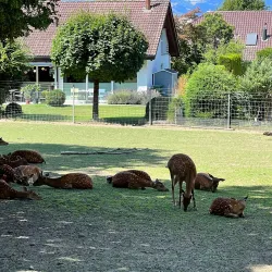 Langenthal Park - Langenthal