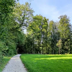 Langenthal Sports Complex - Langenthal