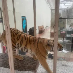 Palais de Rumine - Lausanne