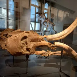 Palais de Rumine - Lausanne