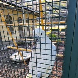 Parc de Mon Repos - Lausanne