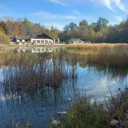 Sauvabelin Tower - Lausanne