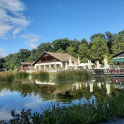 Sauvabelin Tower - Lausanne