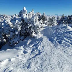 Jura Mountains Hiking Trails - Le Noirmont