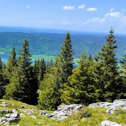 Le Noirmont Market - Le Noirmont