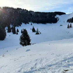 Le Noirmont Market - Le Noirmont